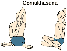gomukhasana