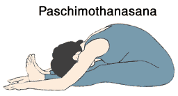 paschimothasana